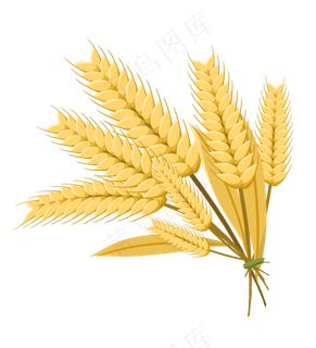 金色一把麦穗免扣,免抠元素