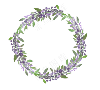 手绘植物花藤边框