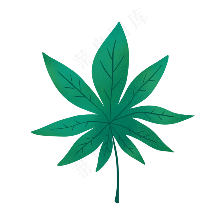 一片热带树叶PNG免抠素材