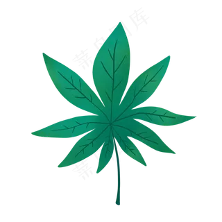 一片热带树叶PNG免抠素材