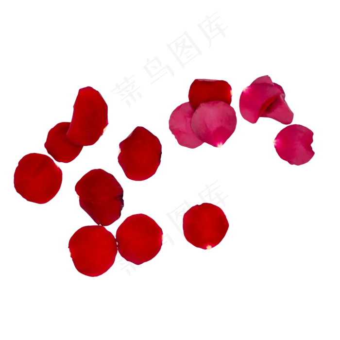 红色玫瑰花瓣(2000*2000px 300 dpi )