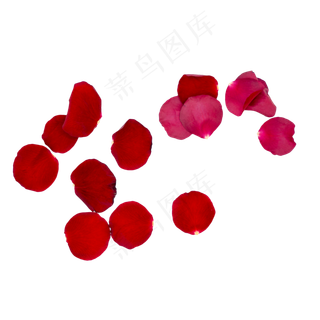 红色玫瑰花瓣
