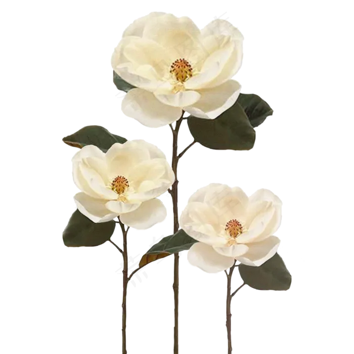 中国风白色茶花干花(2000X2000(DPI:300))psd模版下载