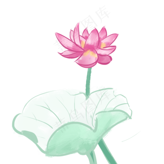 荷花花朵卡通插画