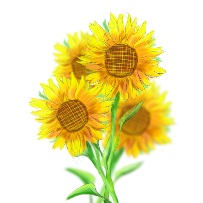商用手绘向日葵热烈水彩阳光花束
