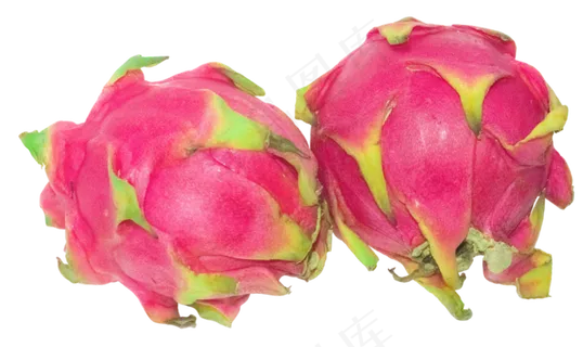 新鲜红色火龙果