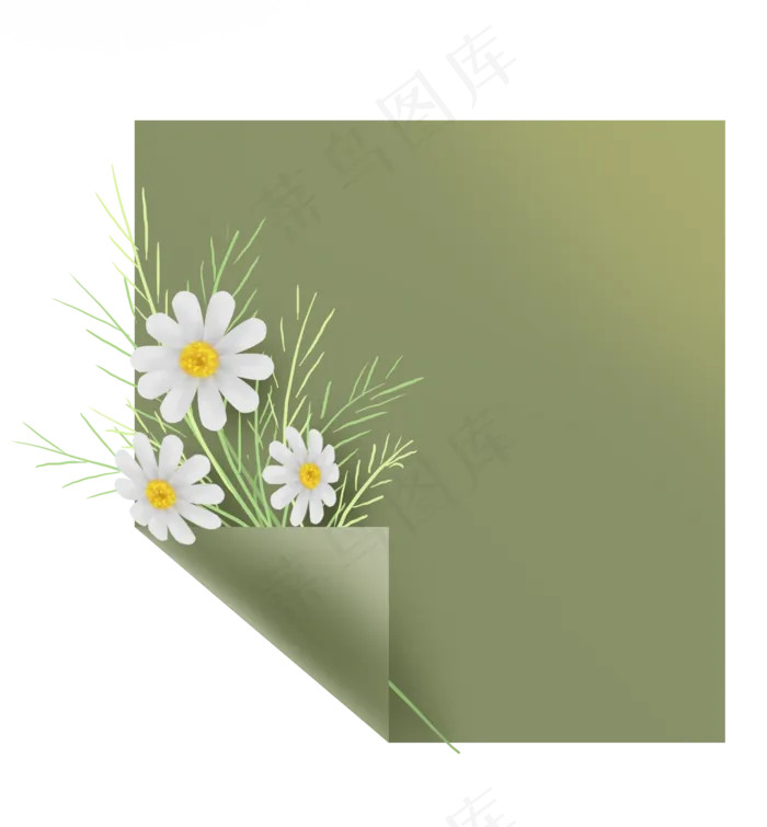 小菊花和留言纸