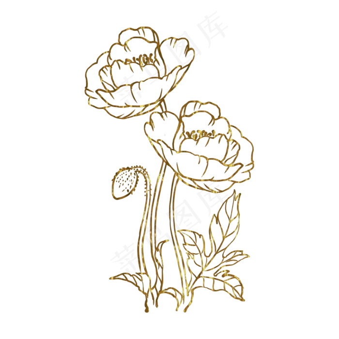 金色花虞美人(2000X2000(DPI:300))psd模版下载