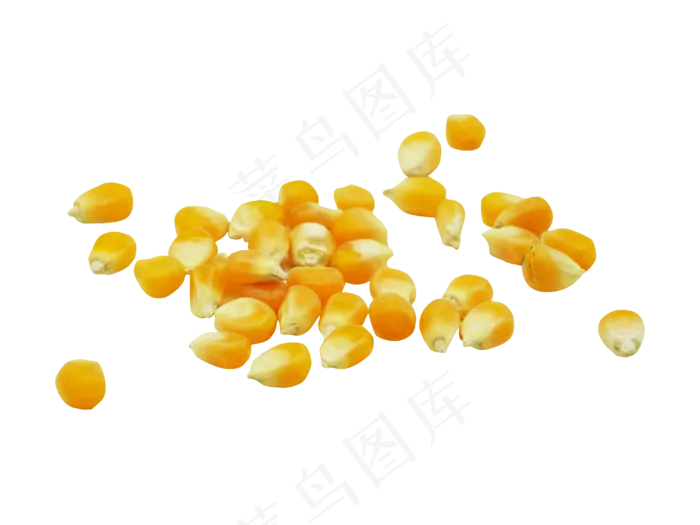 水果玉米黄玉米(4000*3000px 300 dpi )