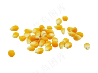 水果玉米黄玉米