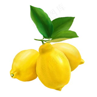 手绘秋冬水果之柠檬