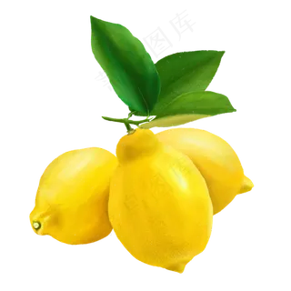手绘秋冬水果之柠檬