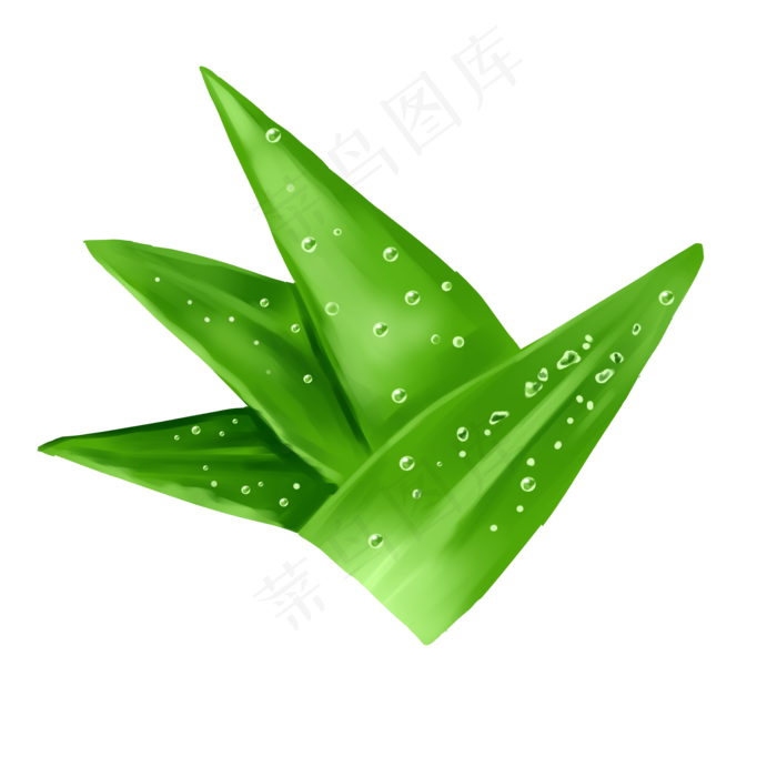 芦荟内部多肉绿色渐变装饰花卉自,免抠元素