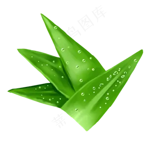 芦荟内部多肉绿色渐变装饰花卉自,免抠元素