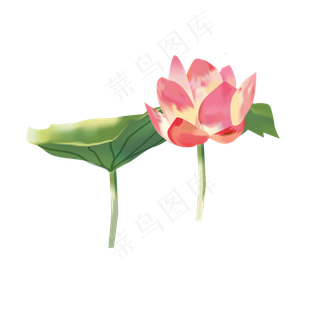手绘唯美清新荷花可商用元素