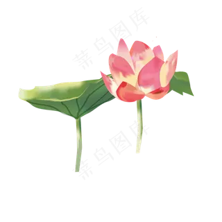 手绘唯美清新荷花可商用元素