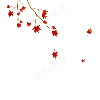中国风红枫叶手绘立秋节气,免抠元素