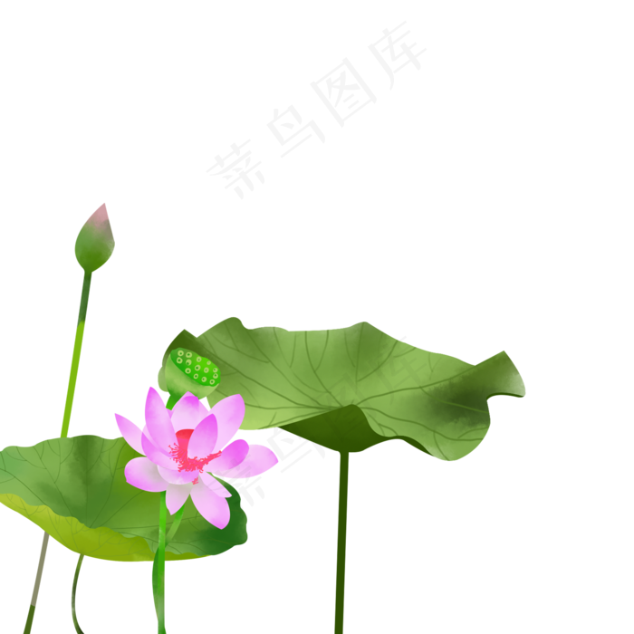 古风荷花免扣插图下载(2000X2000(DPI:300))psd模版下载