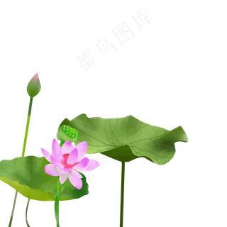 古风荷花免扣插图下载