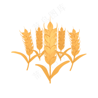 金色麦子秋收节气可商用元素素材,免抠元素