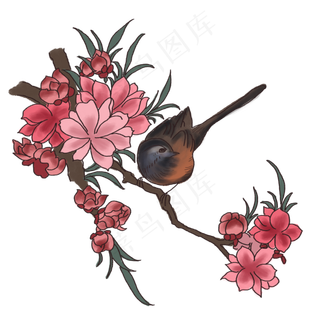 中国风花鸟插画图,免抠元素