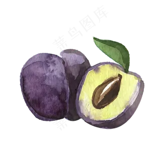 矢量热带水果大布朗素材