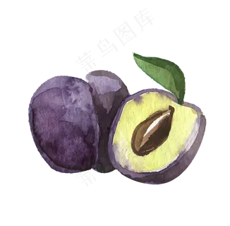 矢量热带水果大布朗素材 矢量热带水果大布朗素材