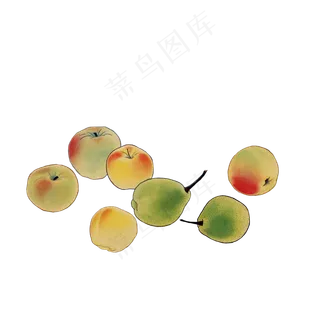 中国风工笔写意水果苹果梨子瓜果