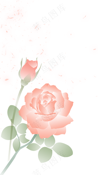 唯美浪漫玫瑰花朵花瓣