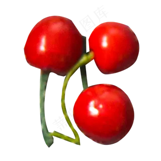 实拍果园种植水果樱桃