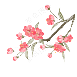 水彩花卉粉色清新唯美,免抠元素