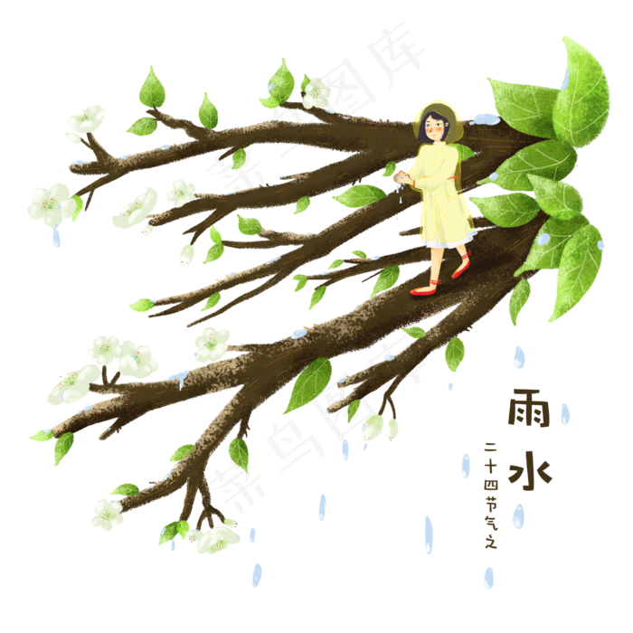 二十四节气之雨水雨后梨花开,免抠元素(2500X2500(DPI:300))psd模版下载