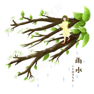 二十四节气之雨水雨后梨花开,免抠元素