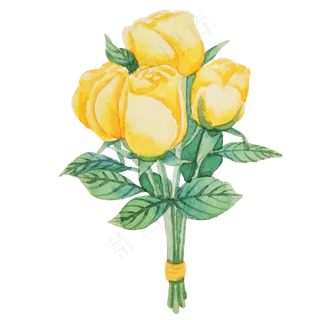 黄色玫瑰蔷薇植物