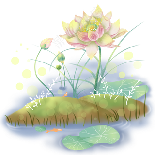 晴朗夏天阳光照耀下的荷花,免抠元素