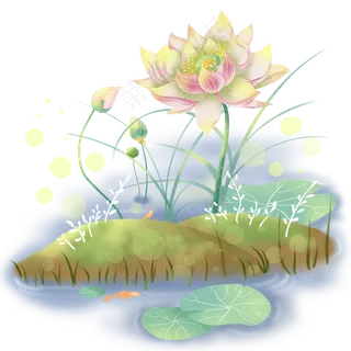 晴朗夏天阳光照耀下的荷花,免抠元素