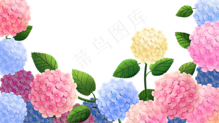 花卉主题之绣球花边框