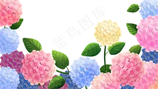 花卉主题之绣球花边框