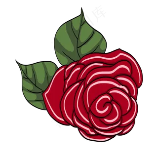 红色玫瑰花花朵手绘
