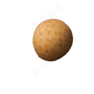 水果桂圆实物下载