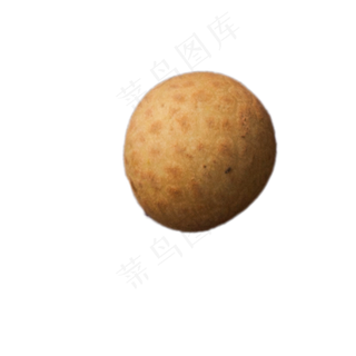 水果桂圆实物下载