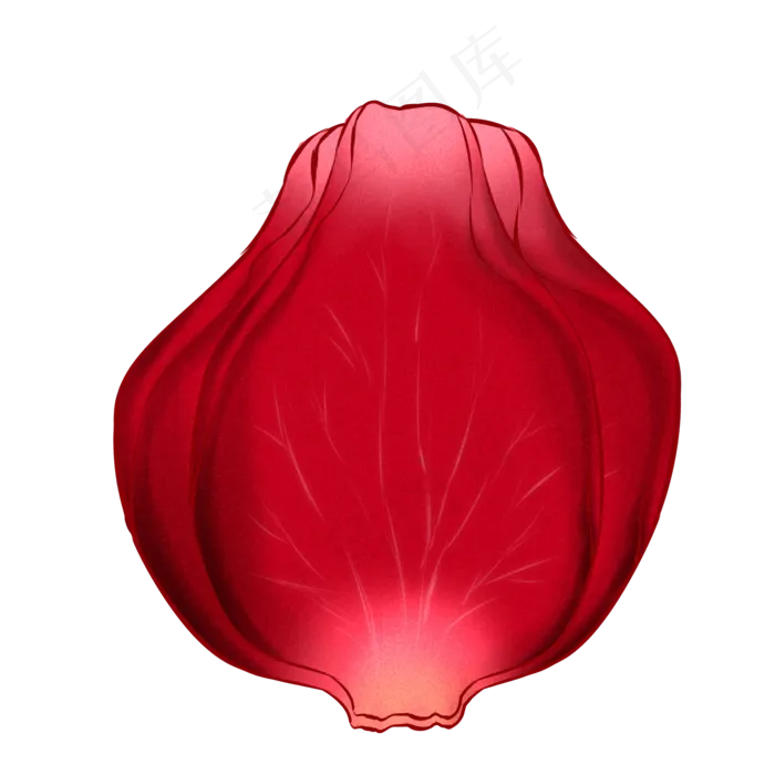 单瓣免扣的玫瑰花瓣(2000X2000(DPI:300))psd模版下载