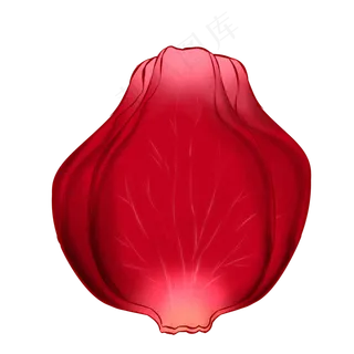 单瓣免扣的玫瑰花瓣 单瓣免扣的玫瑰花瓣