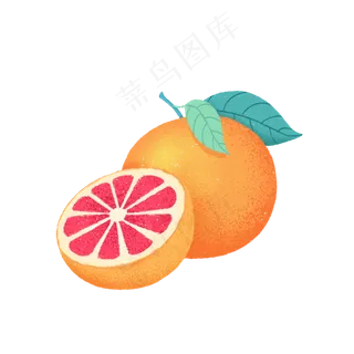 水果葡萄柚橘黄色手绘免扣装饰元