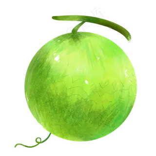 绿色美味哈密瓜