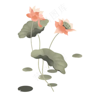 新式创意荷花荷叶莲花