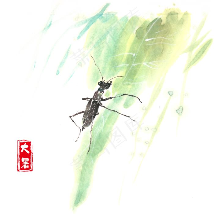 大暑叶子上的黑牛(4724X4724(DPI:300))psd模版下载