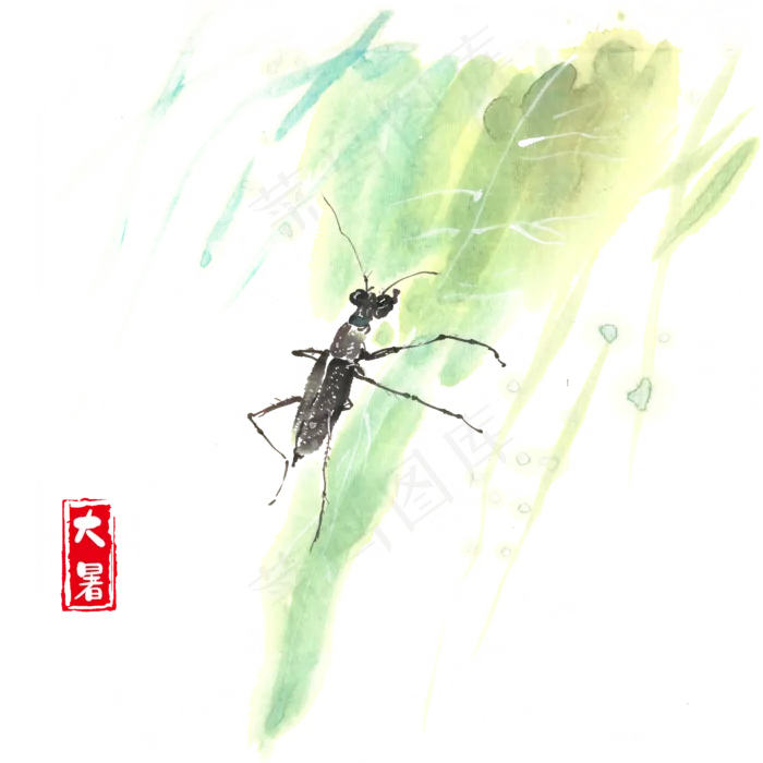 大暑叶子上的黑牛(4724X4724(DPI:300))psd模版下载