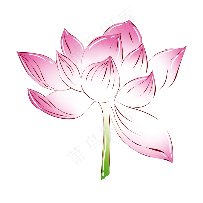 花小植物粉色荷花