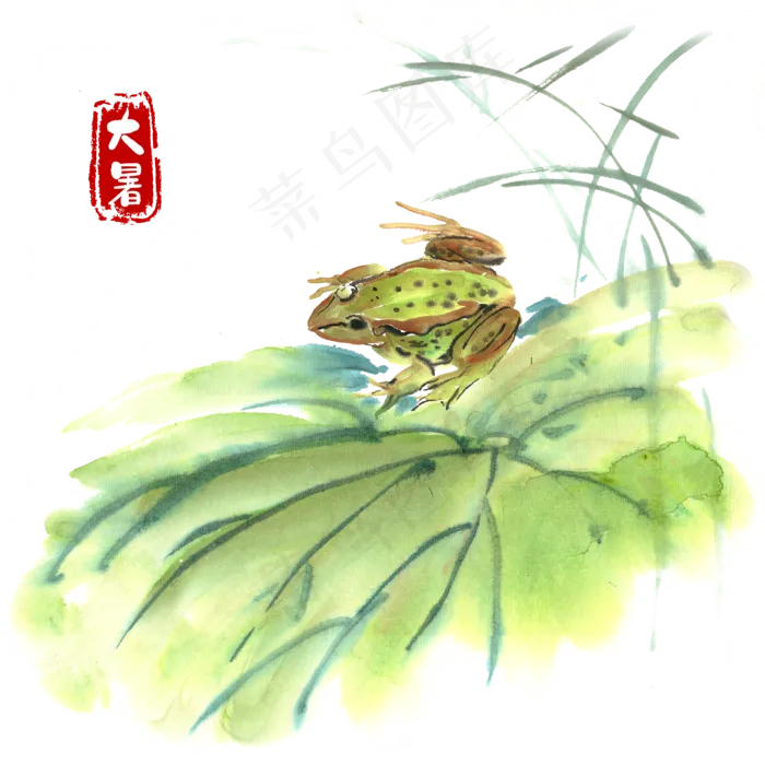 大暑荷叶青蛙水墨画(4724X4724(DPI:300))psd模版下载